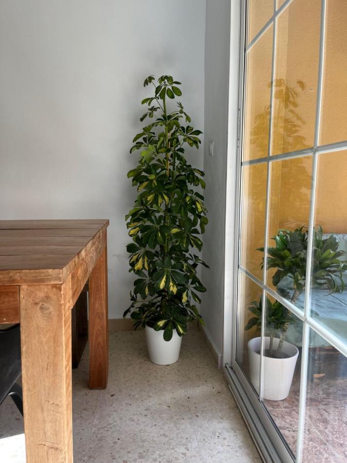 Apartamento La Biznaga Малага Екстер'єр фото