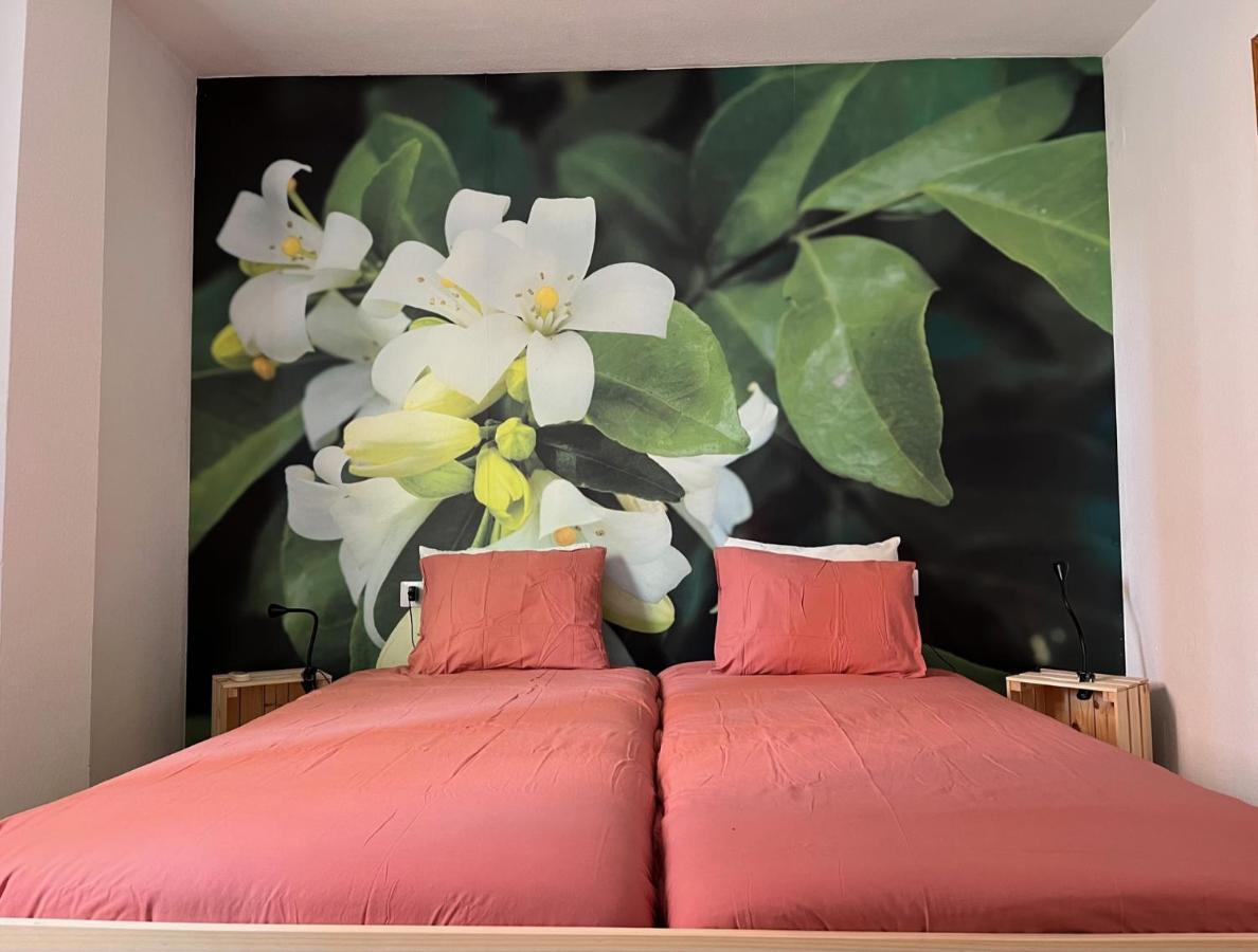 Apartamento La Biznaga Малага Екстер'єр фото